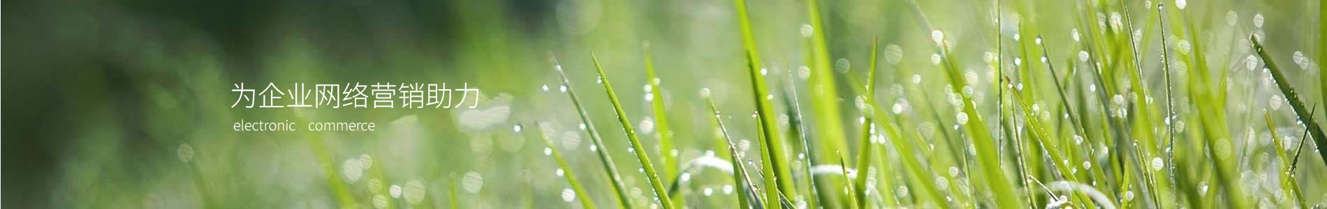 ݷﱦܵ޹˾